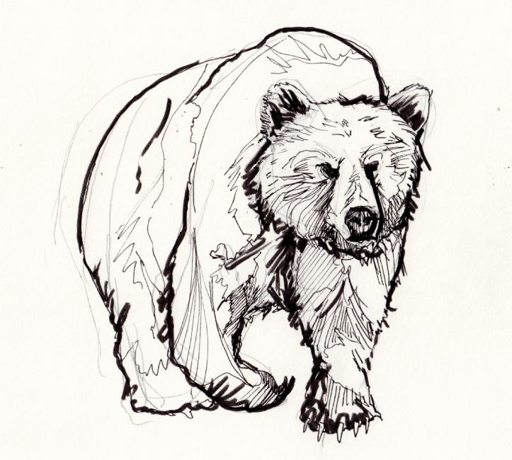 bear